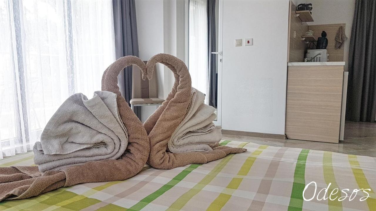 Guesthouse Odesos 索佐波尔 外观 照片